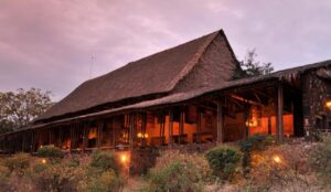 Read more about the article Kilaguni Serena Lodge
