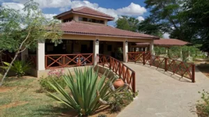 Read more about the article Ashnil Aruba Camp