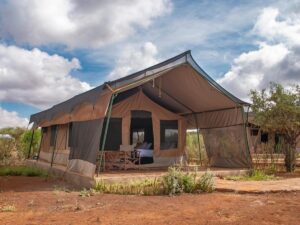 Read more about the article Tulia Amboseli Safari Camp