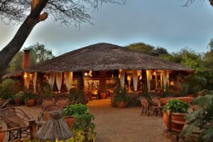 Read more about the article Amboseli Kibo Lodge Camp