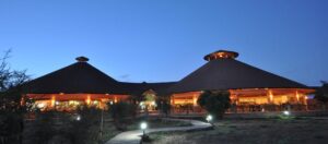 Read more about the article Kilima Safari Camp