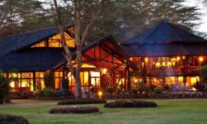 Read more about the article Ol Tukai Lodge