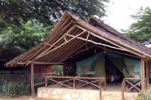 Read more about the article Satao Camp