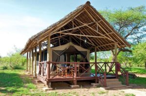 Read more about the article Ziwani Tented Camp